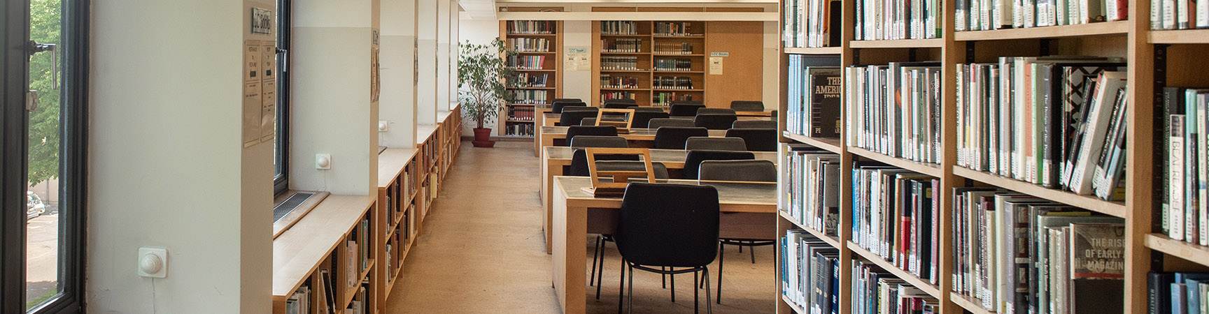 Rows of desks next to windows