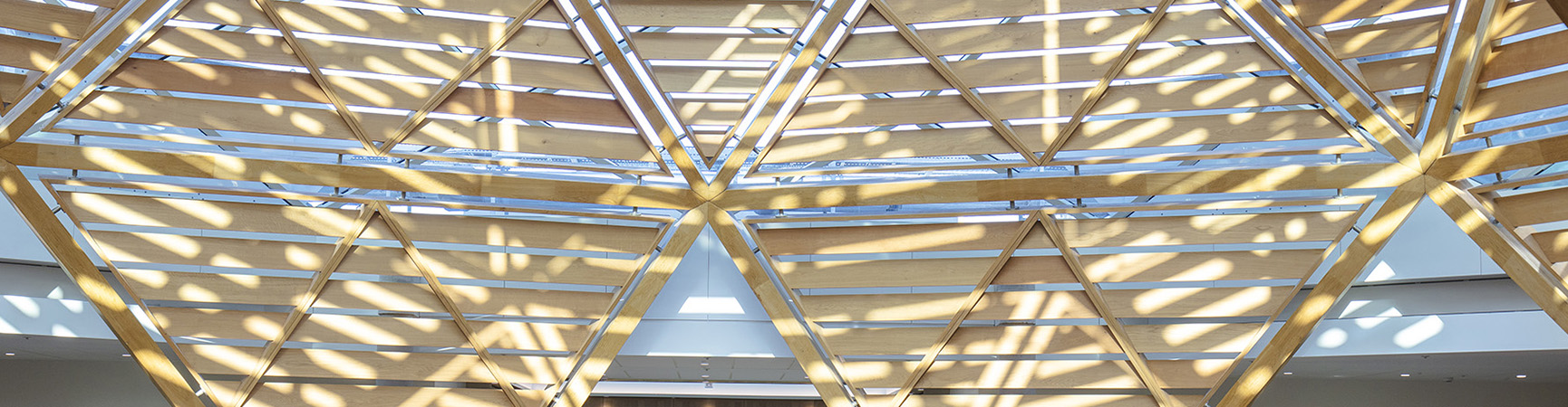 Detail of the dome in the atrium of the Centre for the Humanities: a complex wooden lattice illuminated by sunlight
