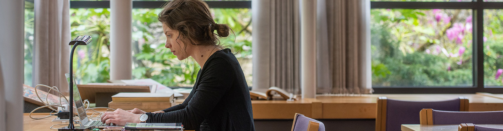 A person working on their laptop next to the large windows at the Japanese Library