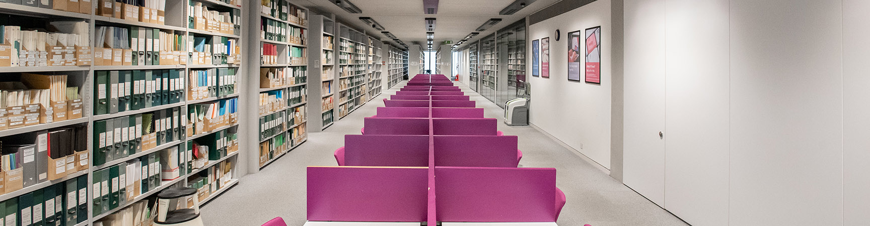 Rows of desks with purple separators