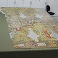 A view from above of the tapestry in its entirety - it is laid on an olive green background material