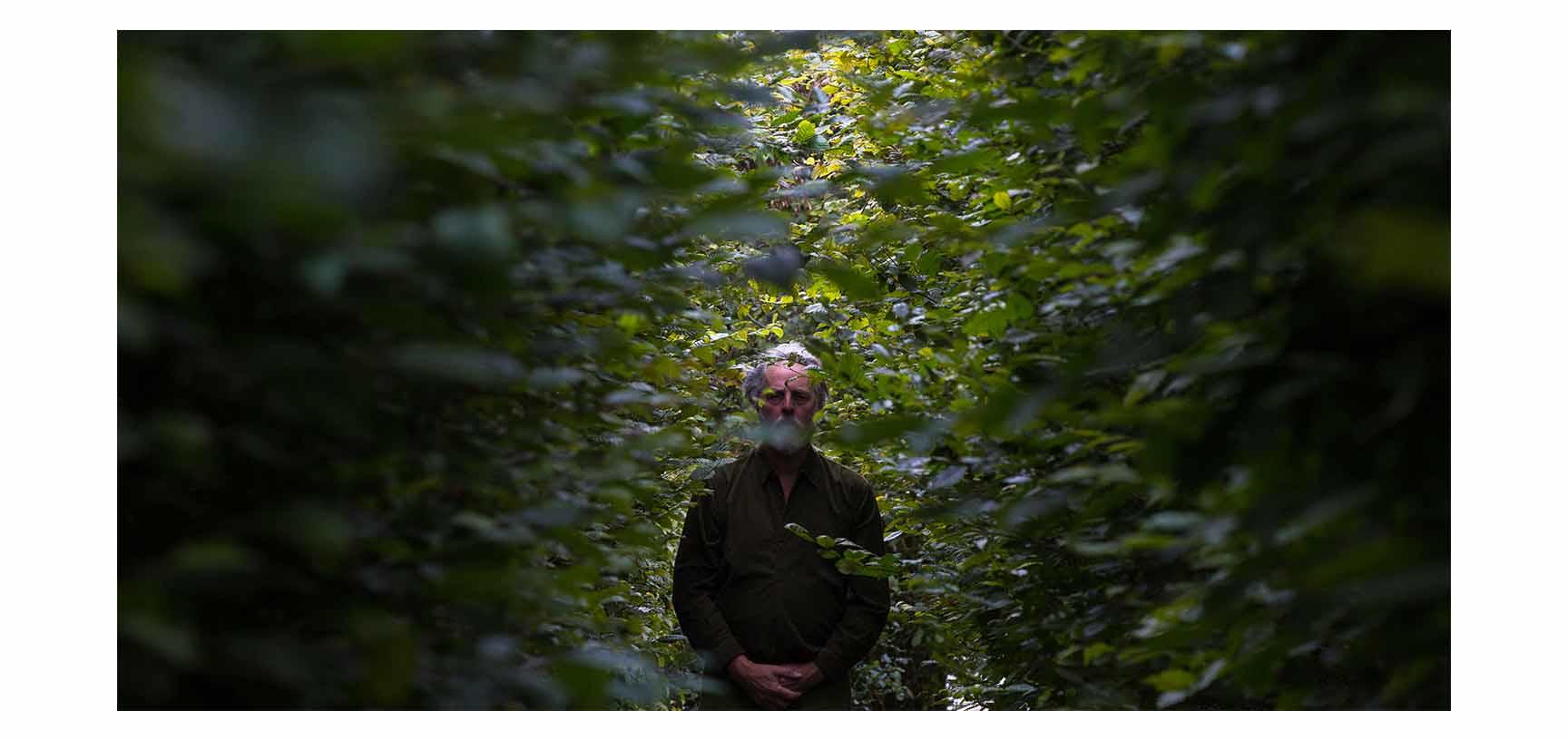 A man with a beard in dark clothing stands surrounded by leaves